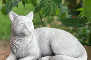 A Feng Shui szerint a macska szimbólum a házban és a ház körül. Alkalmazkodóképesség, a békés nyugalom jelentése. Bárhová tehetjük, titokzatos, mágikus erőt tulajdonítanak neki. Termékeink minőségi kő zúzalékból készülnek, az időjárás viszontagságainak teljes mértékben ellenállnak. Fagyállók, így télen is díszei lesznek a kertjének.

Kerti szobrokat, figurákat használhatja a kert hangulatának fokozására, legyen az hóbortos, klasszikusan elegáns vagy vicces, de ezeknek tükrözniük kell a házigazda ízlését. A szobor vagy dísz felhívja a látogatók figyelmét, ezért az elhelyezés fontos. Kültérben és beltérben egyaránt használható szobrok megrendelhetőek a webáruházunkból‎.

Méretek:
Magasság: 18 cm
Tömeg:      6 kg

Fedezze fel a Kerti Díszek csodálatos világát!
Telephely: Dunavarsány, Barátság u. 1. (51-es főút)
Telefon: 06 70 / 299 2066 – Érdeklődni kizárólag telefonon!
Weboldal: https://kertidiszek.hu

Kínálatunkban megtalálható többek között:
– Kerti szobrok – Varázsolja el kertjét egyedi és stílusos díszekkel!
– Szökőkutak – Frissítse fel kültéri terét egy gyönyörű vízi elemmel!
– Figurák – Tökéletes kiegészítők, amelyek személyiséget adnak a kertjének!
– Kerti lámpások – Teremtsen hangulatos fényt az esti órákra!
– Kerti grillek – Élvezze a szabadtéri sütögetést barátokkal, családdal!

Látogasson el weboldalunkra, és válassza ki a kertjéhez legjobban illő díszeket!

ℹ️ A hirdetésben szereplő képek és adatok tájékoztató jellegűek, kisebb eltérések előfordulhatnak.
A készlettel és házhoz szállítással kapcsolatban kérjük, telefonon érdeklődjön!