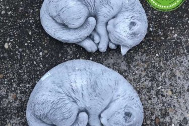 Érdekes és egyedi dekoráció a cica vagy macska tulajdonosok örömére. Ne gondolkodjon, a macskás vagy cicás ajándékot keres ez tökéletes megoldás ugyanis termékünk kőből készült. 

Ne gondolkodjon, a macskás vagy cicás ajándékot keres ez tökéletes megoldás. 

Az oldalon szereplő képek és adatok tájékoztató jellegűek, azok a valóságban minimálisan eltérhetnek az itt feltüntetettektől. A megrendelt termék előfordulhat, hogy nincs raktárkészleten vagy nem szállítható. Ebben az esetben informáljuk telefonon.

Méretek:
Magasság: 11cm
Tömeg: 6 kg

Fedezze fel a Kerti Díszek csodálatos világát!
Telephely: Dunavarsány, Barátság u. 1. (51-es főút)
Telefon: 06 70 / 299 2066 – Érdeklődni kizárólag telefonon!
Weboldal: https://kertidiszek.hu

Kínálatunkban megtalálható többek között:
– Kerti szobrok – Varázsolja el kertjét egyedi és stílusos díszekkel!
– Szökőkutak – Frissítse fel kültéri terét egy gyönyörű vízi elemmel!
– Figurák – Tökéletes kiegészítők, amelyek személyiséget adnak a kertjének!
– Kerti lámpások – Teremtsen hangulatos fényt az esti órákra!
– Kerti grillek – Élvezze a szabadtéri sütögetést barátokkal, családdal!

Látogasson el weboldalunkra, és válassza ki a kertjéhez legjobban illő díszeket!

ℹ️ A hirdetésben szereplő képek és adatok tájékoztató jellegűek, kisebb eltérések előfordulhatnak.
A készlettel és házhoz szállítással kapcsolatban kérjük, telefonon érdeklődjön!