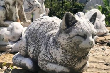 Macska szobor különleges alakját, úgy formáltuk, hogy elhelyezhető legyen ablakpárkányra, lépcsőre, kerti tó szélére. Alakja olyan, mint a pihenő macskáé nagyon aranyos és látványos dekoráció.

Alapanyagának köszönhetően remekül beleillik a zöld környezetbe. Mivel fagyállóak, így nem csak időszakos díszei lesznek a kertjének. Termékeink kőből készülnek ezért az időjárás viszontagságainak teljes mértékben ellenállnak és fagyállók.

Méretek:
Magasság:    18 cm
Hosszúsága:  34 cm 
Tömeg:         10 kg

Fedezze fel a Kerti Díszek csodálatos világát!
Telephely: Dunavarsány, Barátság u. 1. (51-es főút)
Telefon: 06 70 / 299 2066 – Érdeklődni kizárólag telefonon!
Weboldal: https://kertidiszek.hu

Kínálatunkban megtalálható többek között:
– Kerti szobrok – Varázsolja el kertjét egyedi és stílusos díszekkel!
– Szökőkutak – Frissítse fel kültéri terét egy gyönyörű vízi elemmel!
– Figurák – Tökéletes kiegészítők, amelyek személyiséget adnak a kertjének!
– Kerti lámpások – Teremtsen hangulatos fényt az esti órákra!
– Kerti grillek – Élvezze a szabadtéri sütögetést barátokkal, családdal!

Látogasson el weboldalunkra, és válassza ki a kertjéhez legjobban illő díszeket!

ℹ️ A hirdetésben szereplő képek és adatok tájékoztató jellegűek, kisebb eltérések előfordulhatnak.
A készlettel és házhoz szállítással kapcsolatban kérjük, telefonon érdeklődjön!