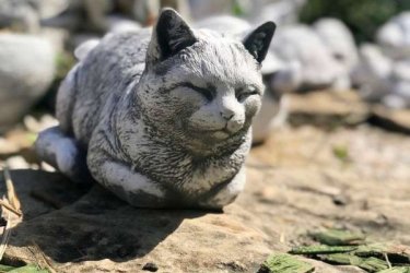 Macska szobor különleges alakját, úgy formáltuk, hogy elhelyezhető legyen ablakpárkányra, lépcsőre, kerti tó szélére. Alakja olyan, mint a pihenő macskáé nagyon aranyos és látványos dekoráció.

Alapanyagának köszönhetően remekül beleillik a zöld környezetbe. Mivel fagyállóak, így nem csak időszakos díszei lesznek a kertjének. Termékeink kőből készülnek ezért az időjárás viszontagságainak teljes mértékben ellenállnak és fagyállók.

Méretek:
Magasság:    18 cm
Hosszúsága:  34 cm 
Tömeg:         10 kg

Fedezze fel a Kerti Díszek csodálatos világát!
Telephely: Dunavarsány, Barátság u. 1. (51-es főút)
Telefon: 06 70 / 299 2066 – Érdeklődni kizárólag telefonon!
Weboldal: https://kertidiszek.hu

Kínálatunkban megtalálható többek között:
– Kerti szobrok – Varázsolja el kertjét egyedi és stílusos díszekkel!
– Szökőkutak – Frissítse fel kültéri terét egy gyönyörű vízi elemmel!
– Figurák – Tökéletes kiegészítők, amelyek személyiséget adnak a kertjének!
– Kerti lámpások – Teremtsen hangulatos fényt az esti órákra!
– Kerti grillek – Élvezze a szabadtéri sütögetést barátokkal, családdal!

Látogasson el weboldalunkra, és válassza ki a kertjéhez legjobban illő díszeket!

ℹ️ A hirdetésben szereplő képek és adatok tájékoztató jellegűek, kisebb eltérések előfordulhatnak.
A készlettel és házhoz szállítással kapcsolatban kérjük, telefonon érdeklődjön!