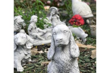 Közkedvelt kerti figuránk egyike a spániel nagyon szép kidolgozású. Ajánlom kertekbe teraszokra és mindenféleképpen ajánlom ajándéktárgynak, nagy meglepetést lehet vele okozni. Tökéletes választás a kert szerelmeseinek és a gyerekeknek.

Mivel a kő természetes anyag, így kiválóan mutat a kertben a zöld növények között. Termékeink minőségi kő zúzalékból készülnek, az időjárás viszontagságainak teljes mértékben ellenállnak. Mivel fagyállók, így télen is díszei lesznek a kertjének. A kültérben és beltérben egyaránt használható szobrok megrendelhetőek a webáruházunkból‎.

Méretek:
Magasság: 33 cm
Tömeg: 11 kg

Fedezze fel a Kerti Díszek csodálatos világát!
Telephely: Dunavarsány, Barátság u. 1. (51-es főút)
Telefon: 06 70 / 299 2066 – Érdeklődni kizárólag telefonon!
Weboldal: https://kertidiszek.hu

Kínálatunkban megtalálható többek között:
– Kerti szobrok – Varázsolja el kertjét egyedi és stílusos díszekkel!
– Szökőkutak – Frissítse fel kültéri terét egy gyönyörű vízi elemmel!
– Figurák – Tökéletes kiegészítők, amelyek személyiséget adnak a kertjének!
– Kerti lámpások – Teremtsen hangulatos fényt az esti órákra!
– Kerti grillek – Élvezze a szabadtéri sütögetést barátokkal, családdal!

Látogasson el weboldalunkra, és válassza ki a kertjéhez legjobban illő díszeket!

ℹ️ A hirdetésben szereplő képek és adatok tájékoztató jellegűek, kisebb eltérések előfordulhatnak.
A készlettel és házhoz szállítással kapcsolatban kérjük, telefonon érdeklődjön!