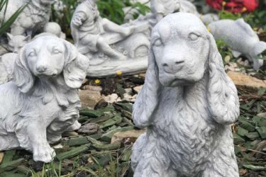 Közkedvelt kerti figuránk egyike a spániel nagyon szép kidolgozású. Ajánlom kertekbe teraszokra és mindenféleképpen ajánlom ajándéktárgynak, nagy meglepetést lehet vele okozni. Tökéletes választás a kert szerelmeseinek és a gyerekeknek.

Mivel a kő természetes anyag, így kiválóan mutat a kertben a zöld növények között. Termékeink minőségi kő zúzalékból készülnek, az időjárás viszontagságainak teljes mértékben ellenállnak. Mivel fagyállók, így télen is díszei lesznek a kertjének. A kültérben és beltérben egyaránt használható szobrok megrendelhetőek a webáruházunkból‎.

Méretek:
Magasság: 33 cm
Tömeg: 11 kg

Fedezze fel a Kerti Díszek csodálatos világát!
Telephely: Dunavarsány, Barátság u. 1. (51-es főút)
Telefon: 06 70 / 299 2066 – Érdeklődni kizárólag telefonon!
Weboldal: https://kertidiszek.hu

Kínálatunkban megtalálható többek között:
– Kerti szobrok – Varázsolja el kertjét egyedi és stílusos díszekkel!
– Szökőkutak – Frissítse fel kültéri terét egy gyönyörű vízi elemmel!
– Figurák – Tökéletes kiegészítők, amelyek személyiséget adnak a kertjének!
– Kerti lámpások – Teremtsen hangulatos fényt az esti órákra!
– Kerti grillek – Élvezze a szabadtéri sütögetést barátokkal, családdal!

Látogasson el weboldalunkra, és válassza ki a kertjéhez legjobban illő díszeket!

ℹ️ A hirdetésben szereplő képek és adatok tájékoztató jellegűek, kisebb eltérések előfordulhatnak.
A készlettel és házhoz szállítással kapcsolatban kérjük, telefonon érdeklődjön!
