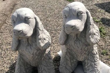 Közkedvelt kerti figuránk egyike a spániel nagyon szép kidolgozású. Ajánlom kertekbe teraszokra és mindenféleképpen ajánlom ajándéktárgynak, nagy meglepetést lehet vele okozni. Tökéletes választás a kert szerelmeseinek és a gyerekeknek.

Mivel a kő természetes anyag, így kiválóan mutat a kertben a zöld növények között. Termékeink minőségi kő zúzalékból készülnek, az időjárás viszontagságainak teljes mértékben ellenállnak. Mivel fagyállók, így télen is díszei lesznek a kertjének. A kültérben és beltérben egyaránt használható szobrok megrendelhetőek a webáruházunkból‎.

Méretek:
Magasság: 33 cm
Tömeg: 11 kg

Fedezze fel a Kerti Díszek csodálatos világát!
Telephely: Dunavarsány, Barátság u. 1. (51-es főút)
Telefon: 06 70 / 299 2066 – Érdeklődni kizárólag telefonon!
Weboldal: https://kertidiszek.hu

Kínálatunkban megtalálható többek között:
– Kerti szobrok – Varázsolja el kertjét egyedi és stílusos díszekkel!
– Szökőkutak – Frissítse fel kültéri terét egy gyönyörű vízi elemmel!
– Figurák – Tökéletes kiegészítők, amelyek személyiséget adnak a kertjének!
– Kerti lámpások – Teremtsen hangulatos fényt az esti órákra!
– Kerti grillek – Élvezze a szabadtéri sütögetést barátokkal, családdal!

Látogasson el weboldalunkra, és válassza ki a kertjéhez legjobban illő díszeket!

ℹ️ A hirdetésben szereplő képek és adatok tájékoztató jellegűek, kisebb eltérések előfordulhatnak.
A készlettel és házhoz szállítással kapcsolatban kérjük, telefonon érdeklődjön!
