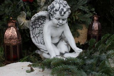 Kerti dísztárgy időt-álló megoldások közé tartozik ez a kis angyalka figura kő zúzalékból készült ezért teljesen ellenáll az idő viszontagságainak. Fagyálló.

Akár beltérben vagy kültérben is díszítheti vele otthonát. Sokan sírkődíszítésre, karácsonykor üzletdíszítésre, kerti dísznek, használják ezt a szobrot. Ajánlom előkertek, teraszok, temetők, lakások, díszítéseként. Figyelem ne felejtsük el a karácsonyi dekorációként is tökéletes nagyon látványos a karácsonyfa alá helyezve egyedi díszítést érhetünk el.

Méretek
Magasság:40 cm
Tömeg: 24 kg

Fedezze fel a Kerti Díszek csodálatos világát!
Telephely: Dunavarsány, Barátság u. 1. (51-es főút)
Telefon: 06 70 / 299 2066 – Érdeklődni kizárólag telefonon!
Weboldal: https://kertidiszek.hu

Kínálatunkban megtalálható többek között:
– Kerti szobrok – Varázsolja el kertjét egyedi és stílusos díszekkel!
– Szökőkutak – Frissítse fel kültéri terét egy gyönyörű vízi elemmel!
– Figurák – Tökéletes kiegészítők, amelyek személyiséget adnak a kertjének!
– Kerti lámpások – Teremtsen hangulatos fényt az esti órákra!
– Kerti grillek – Élvezze a szabadtéri sütögetést barátokkal, családdal!

Látogasson el weboldalunkra, és válassza ki a kertjéhez legjobban illő díszeket!

ℹ️ A hirdetésben szereplő képek és adatok tájékoztató jellegűek, kisebb eltérések előfordulhatnak.
A készlettel és házhoz szállítással kapcsolatban kérjük, telefonon érdeklődjön!