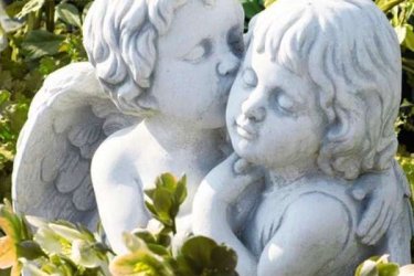 Angyalka párocska dekoratív lehet kertekbe, karácsonyi dísznek, dekorációnak virágboltokban, karácsonyi rendezvények, esküvők díszítéseként. Nagyon szép kidolgozás. Kültéri dísznek is használható mivel fagyálló.

Termékeink minőség kő zúzalékból készülnek, az időjárás viszontagságainak teljes mértékben ellenállnak és fagyállóak. A szobor vagy dísz felhívja a látogatók figyelmét, ezért az elhelyezés fontos. Angyalka szobrocska a kertbe teraszra, de bárhova helyezve meghitt nyugodtságot hoz otthonába. Ajándékként, de karácsonyi dekorációként is tökéletes.

Méretek:
Magasság: 43 cm
Tömeg: 28 kg

Fedezze fel a Kerti Díszek csodálatos világát!
Telephely: Dunavarsány, Barátság u. 1. (51-es főút)
Telefon: 06 70 / 299 2066 – Érdeklődni kizárólag telefonon!
Weboldal: https://kertidiszek.hu

Kínálatunkban megtalálható többek között:
– Kerti szobrok – Varázsolja el kertjét egyedi és stílusos díszekkel!
– Szökőkutak – Frissítse fel kültéri terét egy gyönyörű vízi elemmel!
– Figurák – Tökéletes kiegészítők, amelyek személyiséget adnak a kertjének!
– Kerti lámpások – Teremtsen hangulatos fényt az esti órákra!
– Kerti grillek – Élvezze a szabadtéri sütögetést barátokkal, családdal!

Látogasson el weboldalunkra, és válassza ki a kertjéhez legjobban illő díszeket!

ℹ️ A hirdetésben szereplő képek és adatok tájékoztató jellegűek, kisebb eltérések előfordulhatnak.
A készlettel és házhoz szállítással kapcsolatban kérjük, telefonon érdeklődjön!