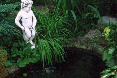 Brüsszel világhírű jelképe, a pisilő kisfiú, kerti szoborként az egyik legdivatosabb és legelterjedtebb kerti díszek egyike. Ez a kerti szobrocska igen sok elemmel összeépíthető, lehet használni víz-köpőként, csobogóként vagy kerti-szoborként. Kisebb kertek és tavak díszítéséhez ajánljuk, ahol nincs lehetőség nagy kerti tó kialakításához. 

Egy kertet könnyen személyessé varázsolhatunk, ha bele visszük a saját ízlésünket és személyiségünket. Némi idő ráfordítás, némi tervezés és máris egyedi és különleges kertje lesz, amit minden arra járó megcsodál majd. A kő, mint természetes anyag, jól illeszkedik zöld környezetbe és a növényekhez. Termékeink minőségi kő zúzalékból készülnek, az időjárás viszontagságainak teljes mértékben ellenállnak. Mivel fagyállóak, így az év 365 napján díszíteni fogják a kertet.

Méretek:
Magasság: 74 cm
Tömeg: 29 kg

Fedezze fel a Kerti Díszek csodálatos világát!
Cím: Dunavarsány, Barátság u. 1. (51-es főút)
Telefon: 06 70 / 299 2066 – Érdeklődni kizárólag telefonon!
Weboldal: https://kertidiszek.hu

Kínálatunkban megtalálható többek között:
– Kerti szobrok – Varázsolja el kertjét egyedi és stílusos díszekkel!
– Szökőkutak – Frissítse fel kültéri terét egy gyönyörű vízi elemmel!
– Figurák – Tökéletes kiegészítők, amelyek személyiséget adnak a kertjének!
– Kerti lámpások – Teremtsen hangulatos fényt az esti órákra!
– Kerti grillek – Élvezze a szabadtéri sütögetést barátokkal, családdal!

Látogasson el weboldalunkra, és válassza ki a kertjéhez legjobban illő díszeket!

ℹ️ A hirdetésben szereplő képek és adatok tájékoztató jellegűek, kisebb eltérések előfordulhatnak.
A készlettel és házhoz szállítással kapcsolatban kérjük, telefonon érdeklődjön!