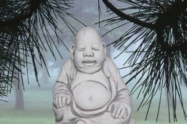Buddha jelentése felébredett, azaz megvilágosodott. A legenda szerint a 29 éves herceget, akinek anyja belehalt a szülésbe, s akit apja a külvilágtól elzárva neveltetett, egy kikocsizás alkalmával megrázó élmény érte...

Egy beteget, egy aggastyánt és egy halottat látott meg, ami rádöbbentette az élet hiábavalóságára és, hogy a lét puszta szenvedés. Ezért elhagyta családját és otthonát, s a nincstelen vándoraszkéták útjára lépett.

Buddha szobraink különböző méretekben kaphatok. Termékünk műköböl készült ezért ellenáll az idő viszontagságainak, fagyálló.

Méretek:
Magasság: 40 cm
Szélesség: 38 cm
Tömeg: 18 kg

Fedezze fel a Kerti Díszek csodálatos világát!
Cím: Dunavarsány, Barátság u. 1. (51-es főút)
Telefon: 06 70 / 299 2066 – Érdeklődni kizárólag telefonon!
Weboldal: https://kertidiszek.hu

Kínálatunkban megtalálható többek között:
– Kerti szobrok – Varázsolja el kertjét egyedi és stílusos díszekkel!
– Szökőkutak – Frissítse fel kültéri terét egy gyönyörű vízi elemmel!
– Figurák – Tökéletes kiegészítők, amelyek személyiséget adnak a kertjének!
– Kerti lámpások – Teremtsen hangulatos fényt az esti órákra!
– Kerti grillek – Élvezze a szabadtéri sütögetést barátokkal, családdal!

Látogasson el weboldalunkra, és válassza ki a kertjéhez legjobban illő díszeket!

ℹ️ A hirdetésben szereplő képek és adatok tájékoztató jellegűek, kisebb eltérések előfordulhatnak.
A készlettel és házhoz szállítással kapcsolatban kérjük, telefonon érdeklődjön!