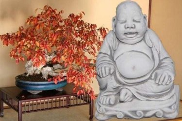 Buddha jelentése felébredett, azaz megvilágosodott. A legenda szerint a 29 éves herceget, akinek anyja belehalt a szülésbe, s akit apja a külvilágtól elzárva neveltetett, egy kikocsizás alkalmával megrázó élmény érte...

Egy beteget, egy aggastyánt és egy halottat látott meg, ami rádöbbentette az élet hiábavalóságára és, hogy a lét puszta szenvedés. Ezért elhagyta családját és otthonát, s a nincstelen vándoraszkéták útjára lépett.

Buddha szobraink különböző méretekben kaphatok. Termékünk műköböl készült ezért ellenáll az idő viszontagságainak, fagyálló.

Méretek:
Magasság: 40 cm
Szélesség: 38 cm
Tömeg: 18 kg

Fedezze fel a Kerti Díszek csodálatos világát!
Cím: Dunavarsány, Barátság u. 1. (51-es főút)
Telefon: 06 70 / 299 2066 – Érdeklődni kizárólag telefonon!
Weboldal: https://kertidiszek.hu

Kínálatunkban megtalálható többek között:
– Kerti szobrok – Varázsolja el kertjét egyedi és stílusos díszekkel!
– Szökőkutak – Frissítse fel kültéri terét egy gyönyörű vízi elemmel!
– Figurák – Tökéletes kiegészítők, amelyek személyiséget adnak a kertjének!
– Kerti lámpások – Teremtsen hangulatos fényt az esti órákra!
– Kerti grillek – Élvezze a szabadtéri sütögetést barátokkal, családdal!

Látogasson el weboldalunkra, és válassza ki a kertjéhez legjobban illő díszeket!

ℹ️ A hirdetésben szereplő képek és adatok tájékoztató jellegűek, kisebb eltérések előfordulhatnak.
A készlettel és házhoz szállítással kapcsolatban kérjük, telefonon érdeklődjön!