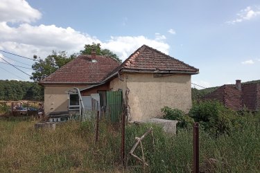 Erdei környezet, friss levegő! 

Az ötvenes években épült kóspallagi  75 négyzetméteres családi ház masszív terméskövekre épült. A falak vastagsága 50 cm vályog, amely nyári hőségben is megőrzik az épület egészséges klímáját. A házban 2025-ben teljeskörű közművezeték csere történt, a fűtést egy modern 24Kw-os Bosch gázcirkó és új radiátoros hő leadók váltották fel. Az elektromos hálózat jól felkészült a télre, mivel "H" tarifás villanyórája is van a háznak. 
A tulajdonos épületgépész, így saját maga nagy szakértelemmel végezte el a felújítást. 

A közművek cseréje után a falak új gipszkarton fedést kaptak. a mennyezet minden helyiségben tökéletes illesztéssel burkolásra került. Egy idősebb háznál beszélni kell a tetőszerkezetről is, ebben a házban azonban olyan kemény fából készült, hogy még most is nehéz szöget ütni bele. a padló is megújult minden helyiségben, a szobákban új laminált, a vizes helyiségekben kerámia lapok ragyognak. 

Új kétrétegű üvegezésű műanyag ajtók, ablakok kerültek beépítésre, növelve az épület hőszigetelését. 
Hátra van még a külső homlokzat felújítása, amely egy minimális ráfordítással visszanyerheti eredeti ragyogását. A most pályázható 3 millió forintos felújítási hitel erre elegendő, a külső megszépítés már az új tulajdonos feladata lesz. 
A kertről se feledkezzünk el, az 1040 négyzetméteres telek kertészkedésre, önellátásra és néhány gyümölcsfa telepítésére kiválóan megfelel. 
Visszatérve a friss levegőre és erdei környezetre, a nappaliból a községet határoló erdőre látunk rá, amely a Duna-Ipoly nemzeti Park része. Kóspallag a Börzsöny legmagasabban fekvő települése, számos kiránduló út, a Kéktúra ösvénye is átmegy rajta. a település vendégházai, vadászházai évek óta kedvelt úti célok. 

A községben iskola, óvoda élelmiszerbolt segíti az ott élők mindennapjait. 

Ajánlom a házat gyermekes családoknak. 

CSOK az ingatlanra felvehető

A szeptemberben induló Otthon Start 3-%-os kölcsön szintén felvehető. 

Hitel és CSOK ügyintézésben segítek! 

Keressen bizalommal! 
Windberg Péter
Ingatlanszakértő
