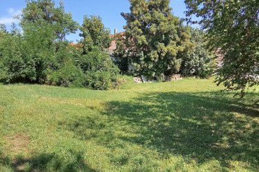 Nagymaros központjában egy rendkívüli lehetőség ez a telek, ugyanis a belvárosban, a főtértől 50 méterre nem talál másik ilyen telket. &#13;&#10;&#13;&#10; A telek 60%-os beépíthetősége egy többlakásos társasház építését, családi házat, vagy  üzleti vállalkozásra alkalmas építménynek adhat otthont.&#13;&#10;&#13;&#10;A telek gondozott, árnyékot adó fák határolják. A szomszéd telkeken új és felújított családi házak veszik körül.  A telken található egy régi pince is, amelyet még fel lehet újítani. A telekre a víz és csatorna beállás megtörtént, 3x16 A szintén a telken, gázvezeték az utcában. &#13;&#10;&#13;&#10;A telek a városon áthaladó főút mentén fekszik, de központi elhelyezkedése révén ezen a szakaszon 30 Km/h a sebességhatár, kamionok természetesen ki vannak tiltva, így nincs nagy zajhatás.&#13;&#10;&#13;&#10;Nagymaros főtere mindössze 50 méterre található, ahol iskola, orvosi rendelő éttermek, és számos üzlet segíti az életünket.&#13;&#10;&#13;&#10; Nagymaros  kiemelt turisztikai célpont, Visegrádra komppal hajózhatunk át. A Duna-kanyarból innen van a legszebb rálátás a visegrádi várra. De maradjunk a Duna bal partján, ahonnan számos turistaút vezet a Börzsöny hegységbe, például a Juliánusz kilátóhoz, de Zebegénybe is elsétálhatunk. &#13;&#10;&#13;&#10;A Duna partján jó minőségi kerékpárúton  érkezhetünk Budapestről.&#13;&#10;Nagymaros közlekedési szempontból kiváló helyen van, a Budapest-Szob vasútvonal fontos megállóhelye. A légkondicionált emeletes vonatok 50 perc alatt érik el a Nyugati -pályaudvart. Gépjárművel a 12-es és M2 autópályán szintén kedvezően megközelíthető a város. Nagymaroson az utóbbi években egyre többen települnek le.&#13;&#10;&#13;&#10;A telek nagyszerű lehetőség befektetőknek, vagy azoknak akik szeretnének egy kisváros központjához közel lakni. &#13;&#10;Az építési telek ára 53 millió Ft&#13;&#10;&#13;&#10;Forduljon hozzám bizalommal, keressen elérhetőségeimen!&#13;&#10;&#13;&#10;Windberg Péter&#13;&#10;
