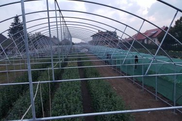 Fóliasátor építése családi kiviteltől ( 20m2-es ) a több 1000m2-es ig
Gépi Fólia váz hajlítás fél col-tol 6/4"  Vállalom csőhajlítás előtt csövek össze hegesztését és fólia sátrak építését is. Nem Kell elhozni a csöveket Házhoz megyek Az ország bármelyik területén!!
Vascsövek és Zártszelvények forgalmazása,széles választékban
szívesen állunk rendelkezésére.
tel:06205099053 feszter6@gmail.com