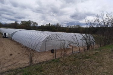 Fóliasátor építése családi kiviteltől ( 20m2-es ) a több 1000m2-es ig
Gépi Fólia váz hajlítás fél col-tol 6/4"  Vállalom csőhajlítás előtt csövek össze hegesztését és fólia sátrak építését is. Nem Kell elhozni a csöveket Házhoz megyek Az ország bármelyik területén!!
Vascsövek és Zártszelvények forgalmazása,széles választékban
szívesen állunk rendelkezésére.
tel:06205099053 feszter6@gmail.com