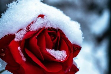 Állások találása