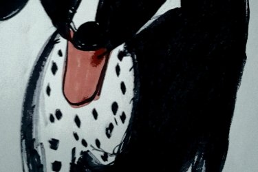 Málna kutya várunk haza Szegedre!