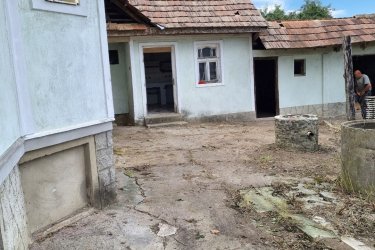 Fa kivágás lomtalanítás takarítás bontás