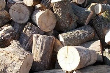 Kertgondozást és Takarítást vállalok