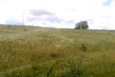 Őrbottyánban telek eladó!