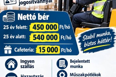 LOGISZTIKUS / targoncás