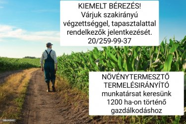 Városföldi Agrárgazdaság Zrt.- Növénytermesztő termelésirányító