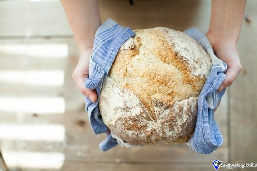 25/1. Pékségi/Konyhai kisegítő Pfalzi-erdőben Azonnali, vagy 2026 február 1-i kezdéssel pékségi/konyhai kisegítő munka hangulatos németországi kávézóban a Pfalzi-erdő szívében A2 német tudással és gyakorlattal. Munkabér 2.550,-€ bruttó. Munkaidő havi 170 óra. Napi ingyenes étkezés, szállás 200 euró/hó. Az összes aktuális állás és még több JÓ ÁLLÁS www.nemetmunka.hu -n. JELENTKEZÉS: -e-mailben német nyelvű, fényképes önéletrajz küldésével: nemetmunkateam@gmail.com vagy önéletrajz készítő APP-al, németül megírt önéletrajzzal: https://www.nemetmunka.hu/oneletrajz-keszito Telefon / WhatsApp / Viber : +49 1520 6359 328 (mindenkit visszahívunk) EXACT Personal UG 83229 Aschau i.Chiemgau Német munkaközvetítő cég Bajorországban. A közvetítésért vagy bármiért fizetni nem kell. www.nemetmunka.hu 2012 óta! …. és megoldódik! https://www.nemetmunka.hu/szakacs-konyhai-kisegito/251-peksegikonyhai-kisegito-nemetorszag 