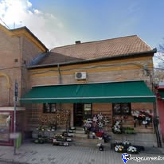 Budapest XII.kerületi virágboltba azonnali kezdéssel keresünk szakképzett virágkötő-koszorúkötő munkatársat. Bejelentett munkaviszony, versenyképes jövedelem. Jelentkezni az alábbi telefonszámon lehet ☎️ +36303186353 ☎️ +36302722742