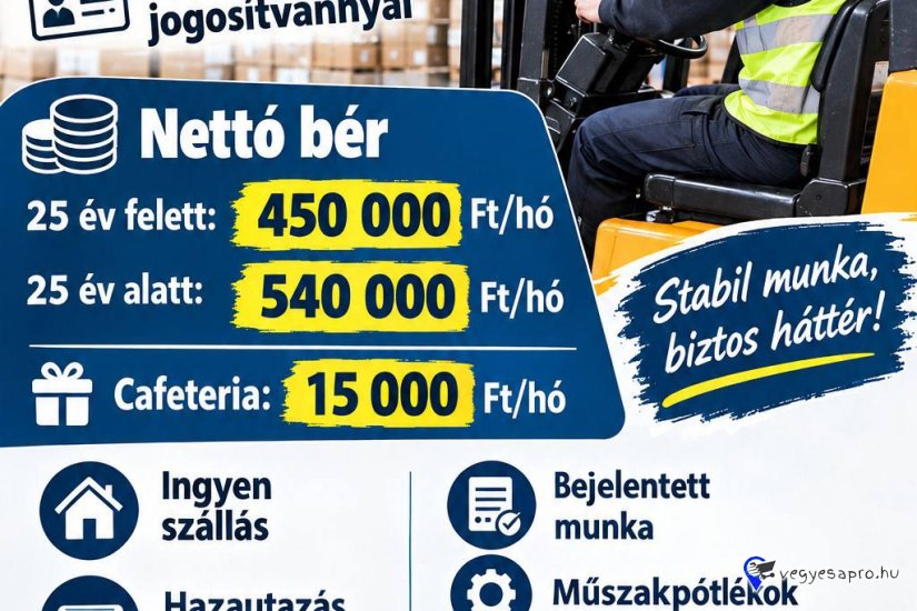 LOGISZTIKUS / targoncás